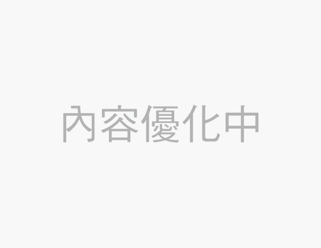 動力式小電毯 1