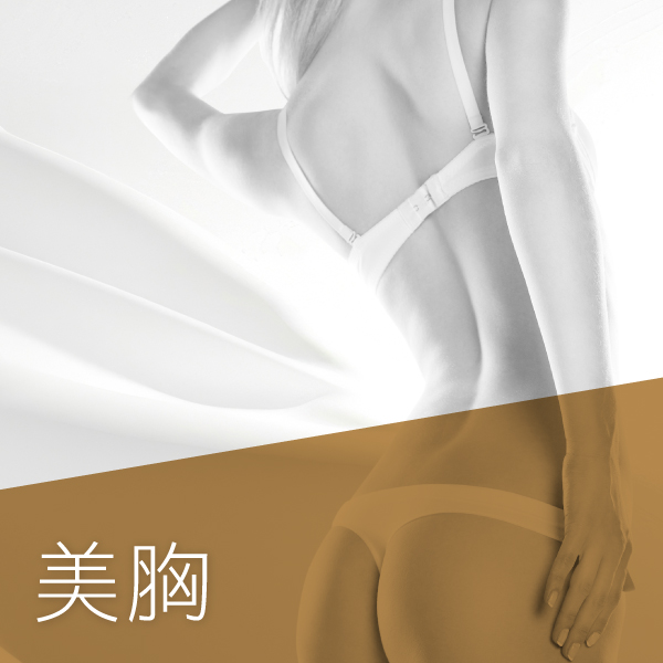 美胸