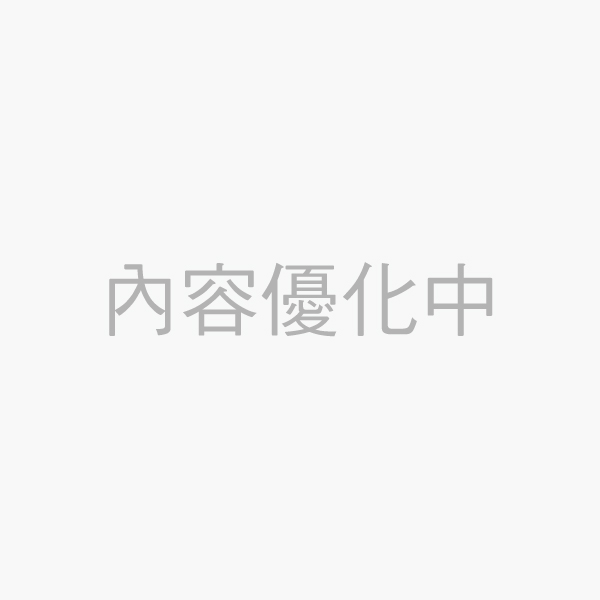 動力式小電毯